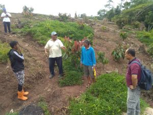 Dinilai Layak, Kelompok Pemuda Tani Mongkonai Bakal Dapat Bantuan Kementan