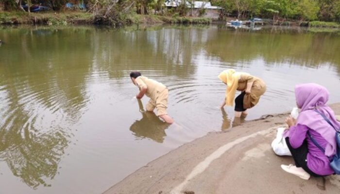 Sungai Buyat Tercemar, Penyebabnya bakteri fecal coliform