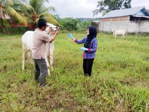 Hewan dari Luar Daerah Diawasi